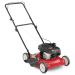 Yard Machines 20 in. 125 cc OHV Briggs and Stratton Gas Walk Behind Push Mower