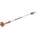 ECHO 10 in. 21.2 cc Gas 2-Stroke Cycle Pole Saw