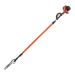 ECHO 12 in. 25.4 cc Gas 2-Stroke Cycle Telescoping Pole Saw with Loop Handle