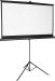 Insigniaâ„¢ - 75" Tripod Projector Screen - Black/White