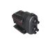 Grundfos SCALA2 115-Volt Booster Pump