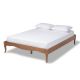 Baxton Studio Marieke Ash walnut King Bed Frame