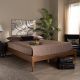 Baxton Studio Laure Ash Walnut Full Platform Bed
