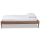 Baxton Studio Marieke Ash Walnut Twin Bed Frame