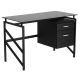 Carnegy Avenue 46-in. Black Rectangular 2 -Drawer Computer Desk with File Storage