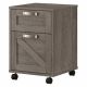 kathy ireland Cottage Grove Restored Gray 2 Drawer Mobile File Cabinet