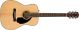 Fender - CD-60S Dreadnought Pack - Natural