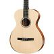 Taylor Academy 12e-N Grand Concert Nylon String Acoustic Guitar Natural