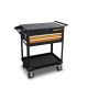 GEARWRENCH 32-inch 2-Drawer Black and Orange Utility Cart