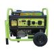 Green-Power 10000 Watt Electric Start Gasoline/Propane Portable Generator with CO Detector