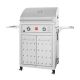 Fuego Premium 2-Burner Natural Gas Grill in 304 Stainless Steel