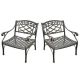 CROSLEY FURNITURE Sedona 2-Piece Cast Aluminum Patio Conversation Set