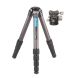 Leofoto LS-365C Ranger Series Tripod and LH-40 Ball Head Kit