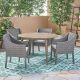 Noble House Torrence Gray 5-pc Wood and Plastic Outdoor Dining Set with Silver Cushions