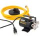 Wayne - 1/10 HP Portable Transfer Utility Pump