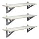 Palram 3-Piece SkyLight 33.3-inch x 12-inch x 8.7 in.Shed Shelf Bundle