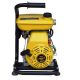 Stanley 3 HP Non-Submersible 1 in. Displacement Water Pump