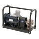 Superior Pump 1/2 HP Explosion Proof Transfer Kit with BP21X Bronze Transfer Pump