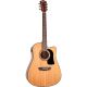Washburn - Apprentice D5CE Acoustic-electric Guitar Pack - Natural