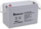 Renogy Deep Cycle AGM Battery 12 Volt 100Ah for RV, Solar Marine and Off-grid Applications, Gray