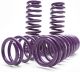 Honda Civic Lowering Springs Kit for 2016-2024 Honda Civic & 2017-2024