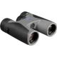 ZEISS - 8x32 Terra ED Binoculars (2017 Edition, Gray)