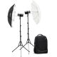 Godox - AD300pro Outdoor 2-Flash Kit