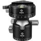 Really Right Stuff BH-40 Ball Head with Lever-Release Panning Clamp