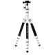 Benro MeFOTO RoadTrip Pro Aluminum Series 1 Travel Tripod with Ball Head and Monopod (Silver)