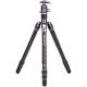 Benro Rhino Carbon Fiber Three Series Travel Tripod w/ VX30 Head