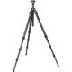 Gitzo GT2543L Mountaineer Series 2 Carbon Fiber Tripod (Long)