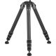 Gitzo GT5543LS Systematic Series 5 Carbon Fiber Tripod (Long)