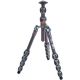3 Legged Thing - Leo 2.0 Tripod (Gray)