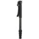 Really Right Stuff MC-34 Series 3 Carbon Fiber Monopod (3/8