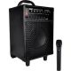 Pyle Pro Wireless Portable Bluetooth PA Speaker System with Wireless Handheld Microphone