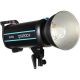 Godox - QS1200II Flash Head