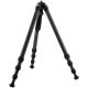 Really Right Stuff TFC-24L MK2 Series2 Long-Leg Ultralight Carbon Fiber Tripod (66.1