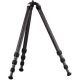 Really Right Stuff - TVC-24L Series 2 Mk2 Carbon Fiber Tripod (Long)