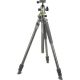 Vanguard Alta Pro 2+ Carbon Fiber Tripod with BH-100 Ball Head