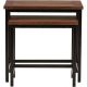 Simpli Home Skyler Rectangular Modern Industrial Mango Wood Side Table (Set of 2) - Dark Cognac Brown