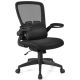 Costway Mesh Office Chair Adjustable Height&Lumbar Support Flip up Armrest - Black