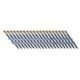 Scrail 2-1/4 in. x 1/9 in. 33-Degree Plastic Strip Versa Drive-Head Nail Screw Fastener (1,000-Pack)