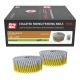Grip-Rite 1-3/4 in. x 0.092 13gal. 15¬∞ Wire Hot Galvanized Exterior Ring Shank Siding Nails (3,000-Box)