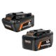RIDGID 18V 8.0Ah and 12.0Ah MAX Output EXP Batteries (2-Pack)