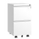 Damodpoy 17.32 in. W 2 Drawer Metal Mobile File Tool Cabinet with Lock, White Filing Cabinets, Tool Carts