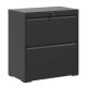 Damodpoy 15.75 in. W 2 Drawer Lateral Tool Cabinet with Lock, Black Steel Tool Chests, Tool Cabinets for Garage, Office, Home