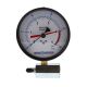 JONES STEPHENS 5 lb. Class 1A Gas Test Gauge Assembly with 4 in. Face and Pressure Snubber