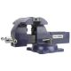 Palmgren 5 in. Comb Bench and Pipe Vise