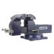 Palmgren 6 in. Comb Bench and Pipe Vise
