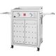 Fuego Premium 2-Burner Propane Gas Griddle in 304 Stainless Steel